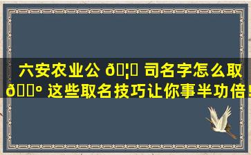 六安农业公 🦍 司名字怎么取 🐺 这些取名技巧让你事半功倍！